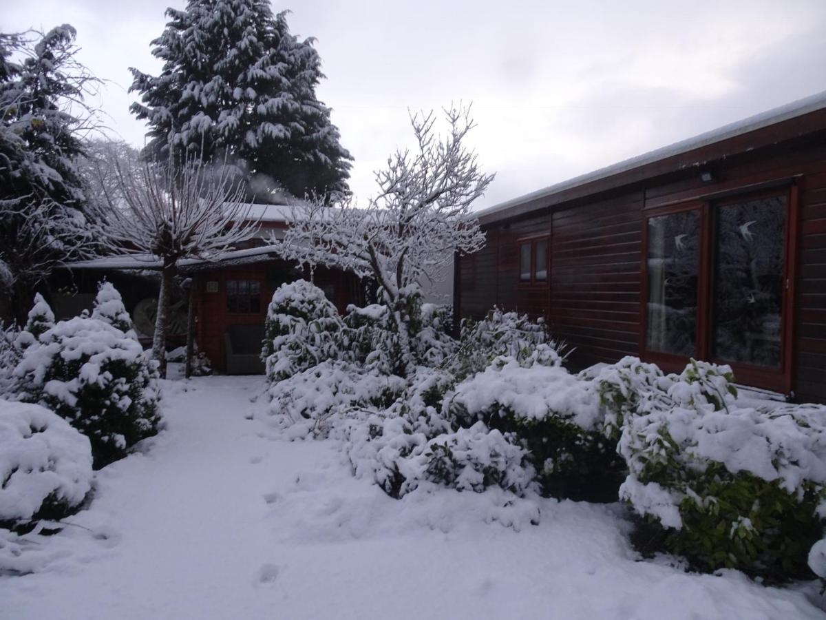 Veluwe Park Reewold Chalet Infinity Putten Kültér fotó